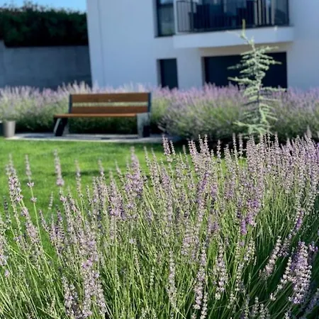 Paskom Apartmanhaz Apartament *